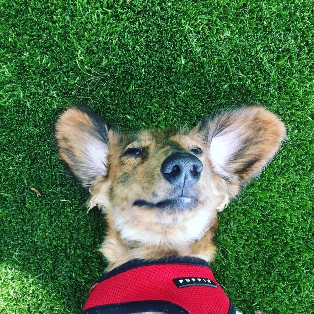 Meet your Posher, Jenna